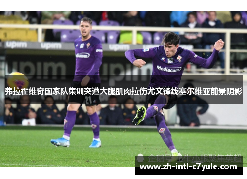 弗拉霍维奇国家队集训突遭大腿肌肉拉伤尤文锋线塞尔维亚前景阴影